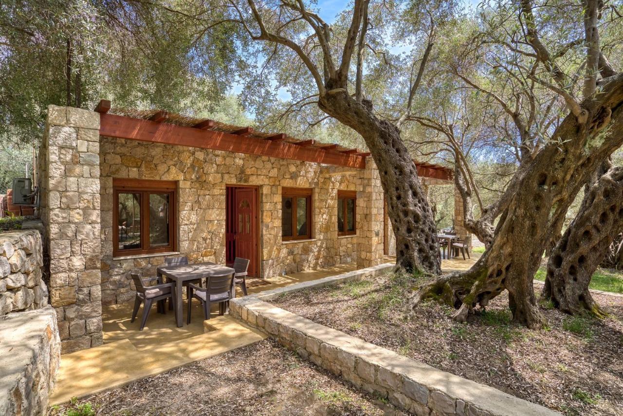 Апартаменты Stonehouse In Olives Улцинь Экстерьер фото
