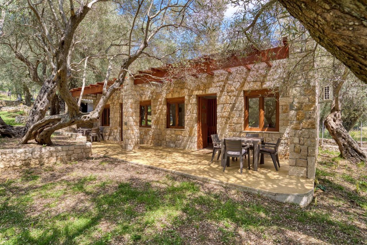 Апартаменты Stonehouse In Olives Улцинь Экстерьер фото