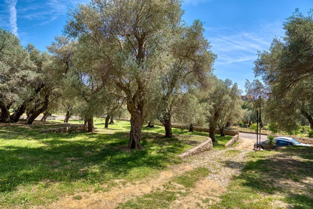 Апартаменты Stonehouse In Olives Улцинь Экстерьер фото