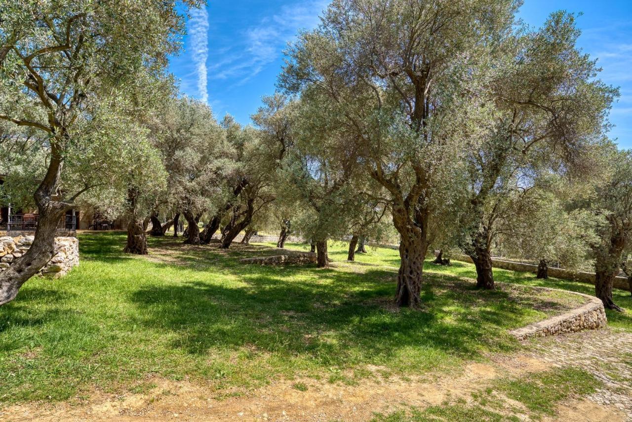Апартаменты Stonehouse In Olives Улцинь Экстерьер фото