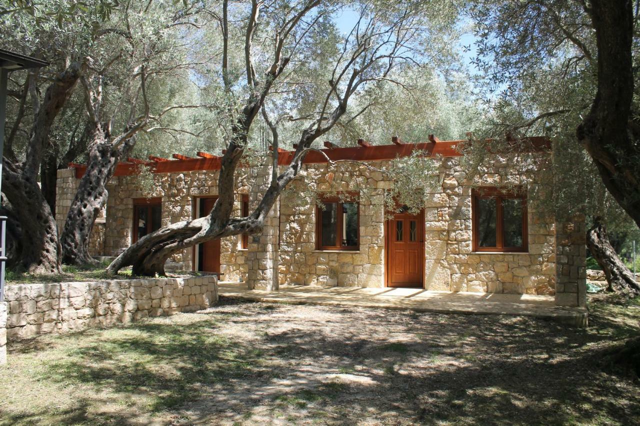 Апартаменты Stonehouse In Olives Улцинь Экстерьер фото